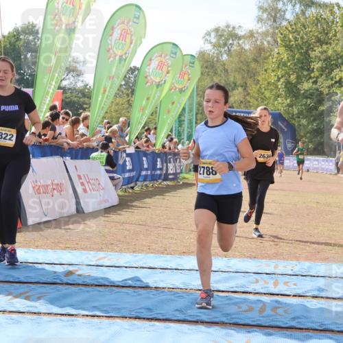 08.09.2024 - Airport Race Strokosch-Dieckow http://msf.ph/oto/6985562 08.09.2024 12:15:42 Ziel 73, 175, 1290, 2545, 2630, 2788, 2822, 2888, 3072 meine-sportfotos.de