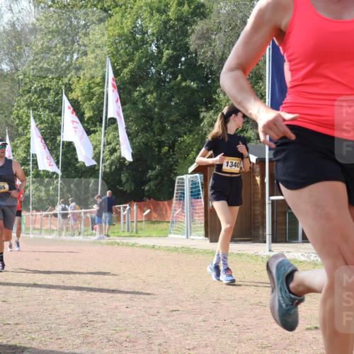 08.09.2024 - Airport Race Strokosch-Dieckow http://msf.ph/oto/6985576 08.09.2024 12:54:30 Ziel 31, 392, 608, 769, 865, 1243, 1340, 1455 meine-sportfotos.de