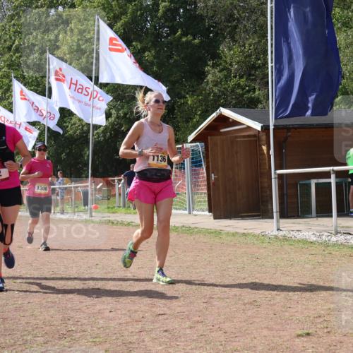 08.09.2024 - Airport Race Strokosch-Dieckow http://msf.ph/oto/6985722 08.09.2024 12:55:16 Ziel 12, 256, 288, 870, 1106, 1136, 1306 meine-sportfotos.de