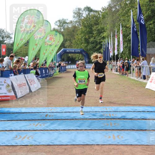 08.09.2024 - Airport Race Strokosch-Dieckow http://msf.ph/oto/6985729 08.09.2024 12:03:23 Ziel 2614, 3074, 3081 meine-sportfotos.de