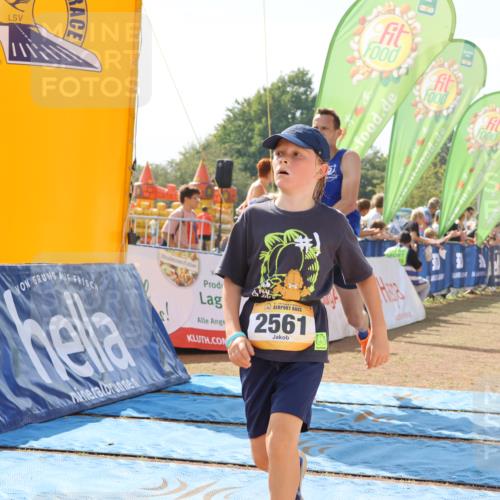 08.09.2024 - Airport Race Strokosch-Dieckow http://msf.ph/oto/6986056 08.09.2024 12:16:55 Ziel 158, 688, 2561, 2598, 2780 meine-sportfotos.de