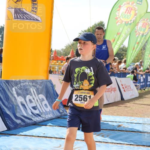 08.09.2024 - Airport Race Strokosch-Dieckow http://msf.ph/oto/6986061 08.09.2024 12:16:55 Ziel 158, 688, 2561, 2598, 2780 meine-sportfotos.de