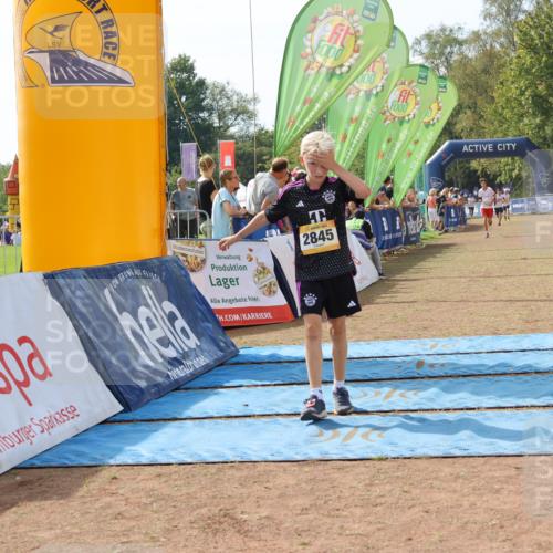 08.09.2024 - Airport Race Strokosch-Dieckow http://msf.ph/oto/6986262 08.09.2024 12:05:00 Ziel 687, 2666, 2845, 2857 meine-sportfotos.de