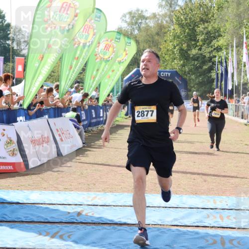 08.09.2024 - Airport Race Strokosch-Dieckow http://msf.ph/oto/6986420 08.09.2024 12:17:57 Ziel 580, 2565, 2759, 2856, 2859, 2877, 3162 meine-sportfotos.de