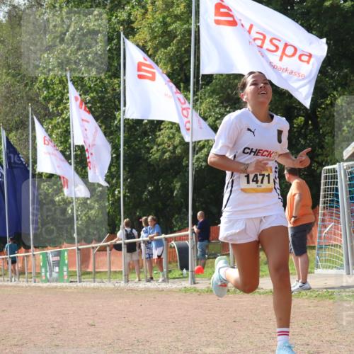 08.09.2024 - Airport Race Strokosch-Dieckow http://msf.ph/oto/6986546 08.09.2024 12:59:38 Ziel 235, 1471 meine-sportfotos.de