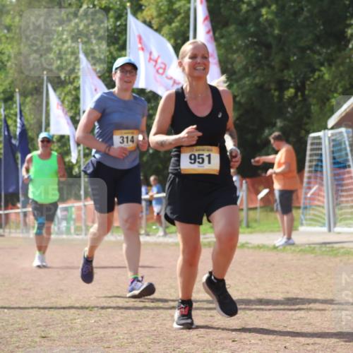 08.09.2024 - Airport Race Strokosch-Dieckow http://msf.ph/oto/6986923 08.09.2024 13:00:03 Ziel 274, 314, 555, 556, 951 meine-sportfotos.de