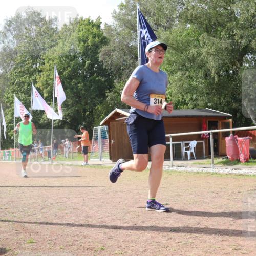 08.09.2024 - Airport Race Strokosch-Dieckow http://msf.ph/oto/6986939 08.09.2024 13:00:05 Ziel 274, 314, 951 meine-sportfotos.de