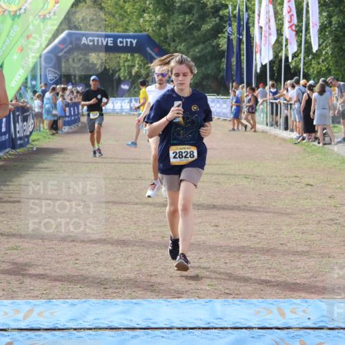 08.09.2024 - Airport Race Strokosch-Dieckow http://msf.ph/oto/6987211 08.09.2024 12:21:01 Ziel 328, 478, 1174, 1203, 2594, 2828, 2878, 3056 meine-sportfotos.de