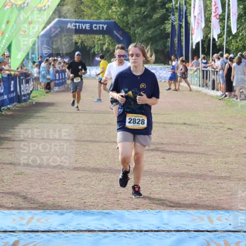 08.09.2024 - Airport Race Strokosch-Dieckow http://msf.ph/oto/6987221 08.09.2024 12:21:01 Ziel 328, 478, 1174, 1203, 2594, 2828, 2878, 3056 meine-sportfotos.de