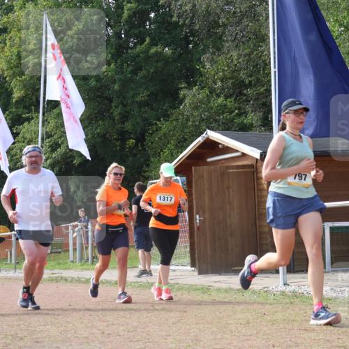 08.09.2024 - Airport Race Strokosch-Dieckow http://msf.ph/oto/6988037 08.09.2024 13:02:41 Ziel 797, 1118, 1317, 1385, 1416, 1436, 1442, 1443 meine-sportfotos.de