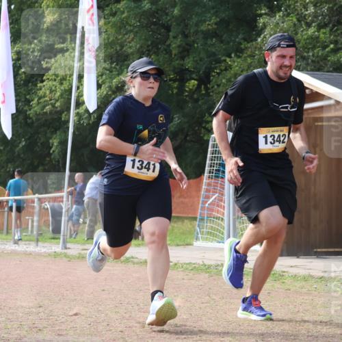 08.09.2024 - Airport Race Strokosch-Dieckow http://msf.ph/oto/6988477 08.09.2024 13:03:32 Ziel 1212, 1341, 1342, 3130 meine-sportfotos.de