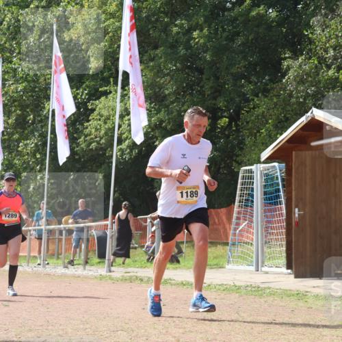 08.09.2024 - Airport Race Strokosch-Dieckow http://msf.ph/oto/6989331 08.09.2024 13:04:33 Ziel 554, 719, 832, 1155, 1189, 1289, 1294 meine-sportfotos.de