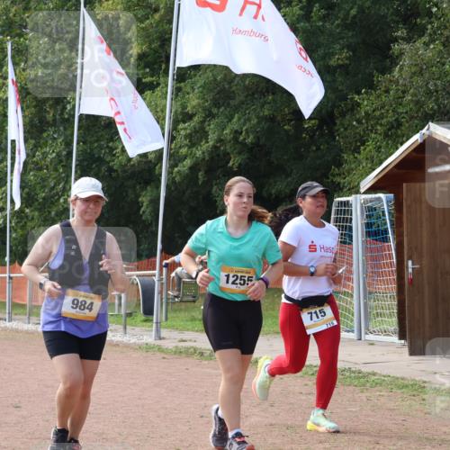 08.09.2024 - Airport Race Strokosch-Dieckow http://msf.ph/oto/6991402 08.09.2024 13:08:19 Ziel 355, 715, 815, 984, 1255 meine-sportfotos.de