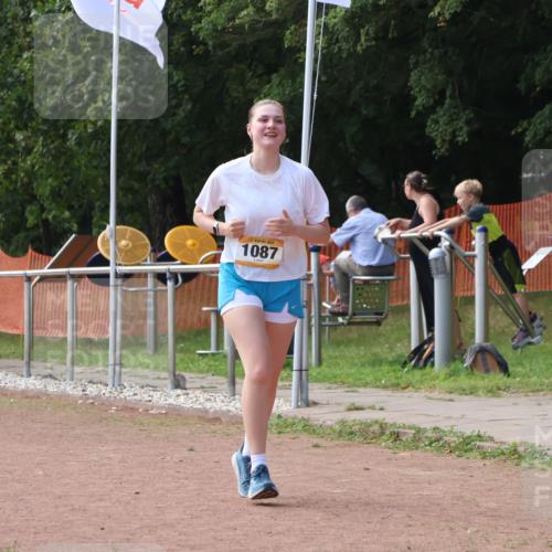 08.09.2024 - Airport Race Strokosch-Dieckow http://msf.ph/oto/6992500 08.09.2024 13:10:34 Ziel 1087, 1201 meine-sportfotos.de