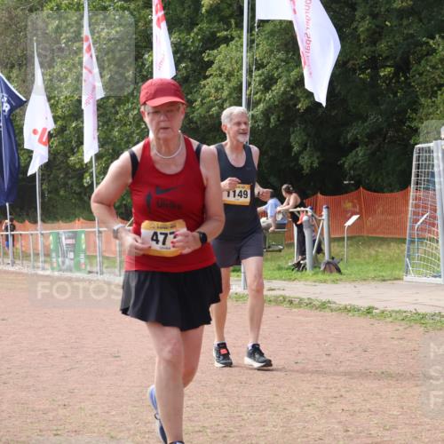 08.09.2024 - Airport Race Strokosch-Dieckow http://msf.ph/oto/6993342 08.09.2024 13:12:23 Ziel 477, 1143, 1149 meine-sportfotos.de