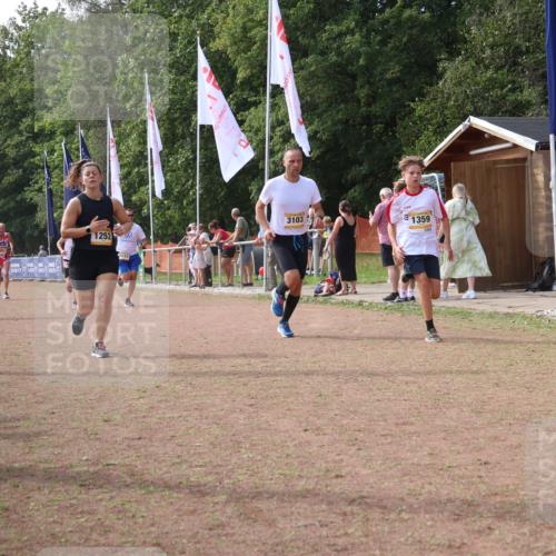 08.09.2024 - Airport Race Strokosch-Dieckow http://msf.ph/oto/6996431 08.09.2024 12:37:53 Ziel 536, 1031, 1033, 1252, 1256, 1359, 3102, 3103 meine-sportfotos.de