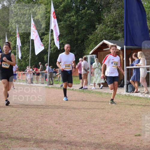 08.09.2024 - Airport Race Strokosch-Dieckow http://msf.ph/oto/6996452 08.09.2024 12:37:53 Ziel 536, 1031, 1033, 1252, 1256, 1359, 3102, 3103 meine-sportfotos.de