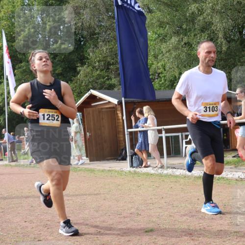 08.09.2024 - Airport Race Strokosch-Dieckow http://msf.ph/oto/6996536 08.09.2024 12:37:54 Ziel 536, 1031, 1033, 1252, 1256, 1359, 3102, 3103 meine-sportfotos.de