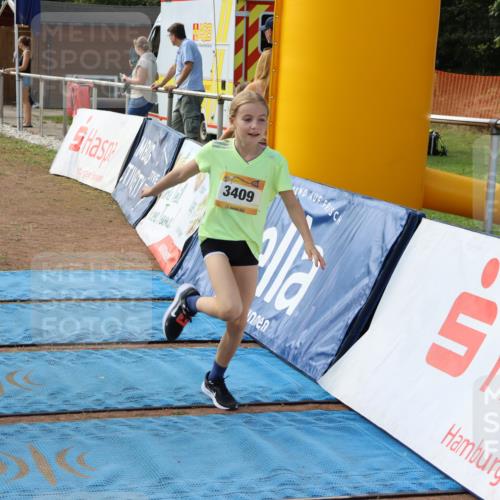 08.09.2024 - Airport Race Strokosch-Dieckow http://msf.ph/oto/6997909 08.09.2024 12:29:29 Ziel 71, 358, 516, 738, 1049, 1125, 3036, 3117 meine-sportfotos.de