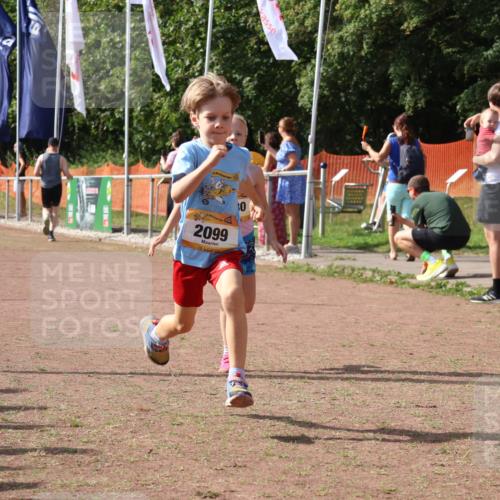 08.09.2024 - Airport Race Strokosch-Dieckow http://msf.ph/oto/6998061 08.09.2024 11:12:41 Ziel  meine-sportfotos.de