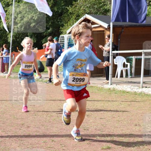 08.09.2024 - Airport Race Strokosch-Dieckow http://msf.ph/oto/6998092 08.09.2024 11:12:42 Ziel  meine-sportfotos.de