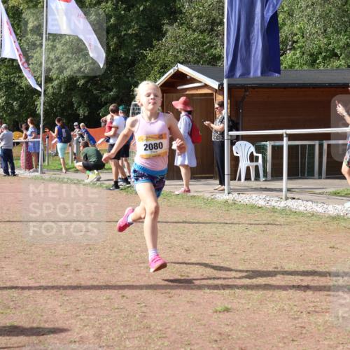 08.09.2024 - Airport Race Strokosch-Dieckow http://msf.ph/oto/6998115 08.09.2024 11:12:42 Ziel  meine-sportfotos.de