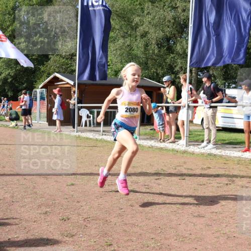08.09.2024 - Airport Race Strokosch-Dieckow http://msf.ph/oto/6998159 08.09.2024 11:12:43 Ziel  meine-sportfotos.de