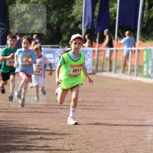 08.09.2024 - Airport Race Strokosch-Dieckow http://msf.ph/oto/6998282 08.09.2024 11:12:50 Ziel  meine-sportfotos.de