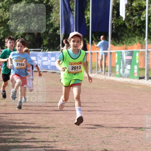 08.09.2024 - Airport Race Strokosch-Dieckow http://msf.ph/oto/6998315 08.09.2024 11:12:51 Ziel  meine-sportfotos.de