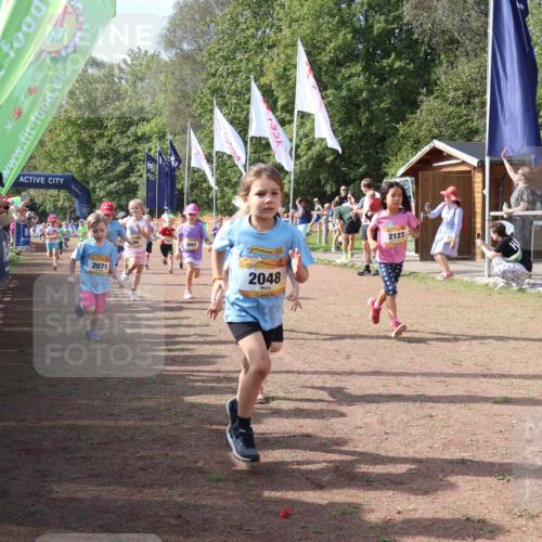 08.09.2024 - Airport Race Strokosch-Dieckow http://msf.ph/oto/6999312 08.09.2024 11:13:15 Ziel  meine-sportfotos.de