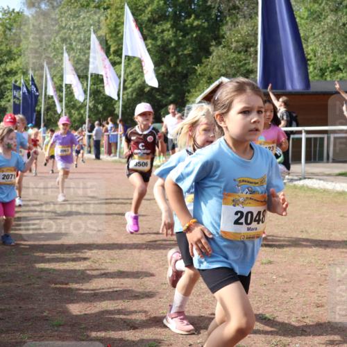 08.09.2024 - Airport Race Strokosch-Dieckow http://msf.ph/oto/6999339 08.09.2024 11:13:16 Ziel  meine-sportfotos.de