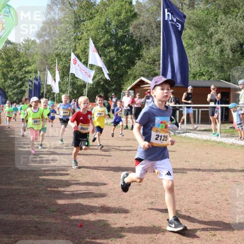 08.09.2024 - Airport Race Strokosch-Dieckow http://msf.ph/oto/6999466 08.09.2024 11:13:19 Ziel  meine-sportfotos.de
