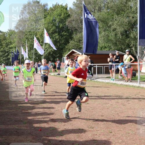08.09.2024 - Airport Race Strokosch-Dieckow http://msf.ph/oto/6999478 08.09.2024 11:13:20 Ziel  meine-sportfotos.de
