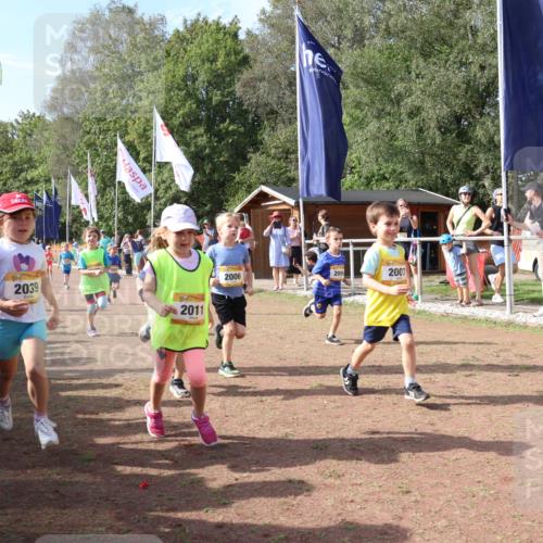 08.09.2024 - Airport Race Strokosch-Dieckow http://msf.ph/oto/6999482 08.09.2024 11:13:20 Ziel  meine-sportfotos.de
