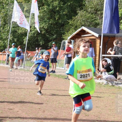 08.09.2024 - Airport Race Strokosch-Dieckow http://msf.ph/oto/6999488 08.09.2024 11:13:21 Ziel  meine-sportfotos.de
