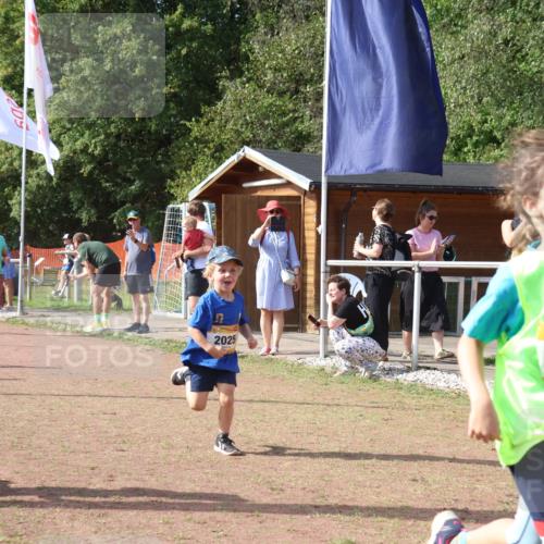 08.09.2024 - Airport Race Strokosch-Dieckow http://msf.ph/oto/6999491 08.09.2024 11:13:22 Ziel  meine-sportfotos.de