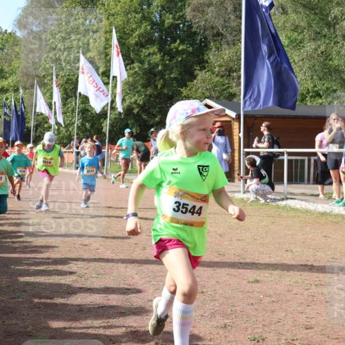 08.09.2024 - Airport Race Strokosch-Dieckow http://msf.ph/oto/6999498 08.09.2024 11:13:23 Ziel  meine-sportfotos.de