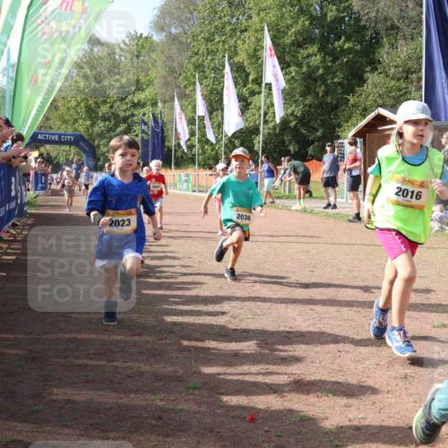 08.09.2024 - Airport Race Strokosch-Dieckow http://msf.ph/oto/6999511 08.09.2024 11:13:25 Ziel  meine-sportfotos.de