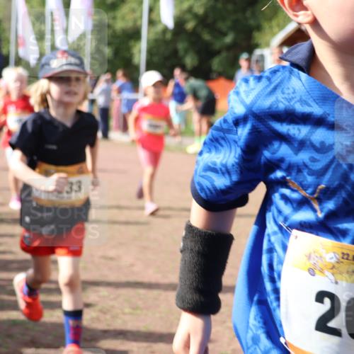 08.09.2024 - Airport Race Strokosch-Dieckow http://msf.ph/oto/6999517 08.09.2024 11:13:26 Ziel  meine-sportfotos.de