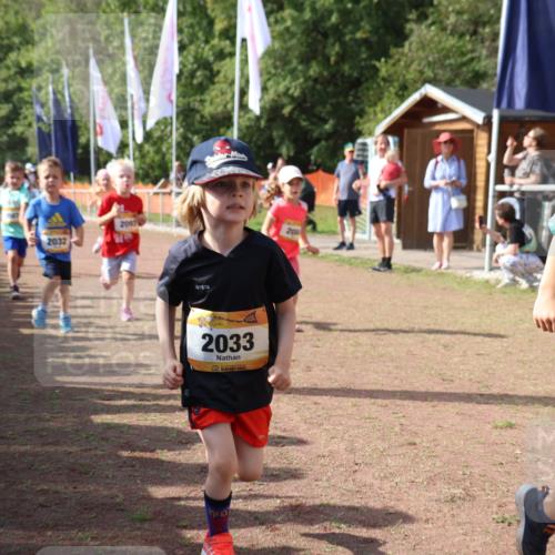 08.09.2024 - Airport Race Strokosch-Dieckow http://msf.ph/oto/6999520 08.09.2024 11:13:27 Ziel  meine-sportfotos.de