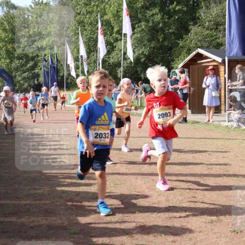 08.09.2024 - Airport Race Strokosch-Dieckow http://msf.ph/oto/6999530 08.09.2024 11:13:28 Ziel  meine-sportfotos.de