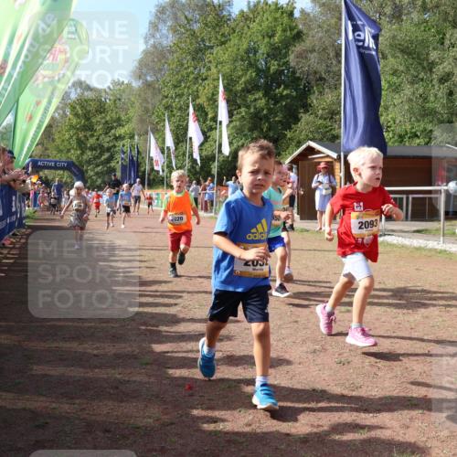 08.09.2024 - Airport Race Strokosch-Dieckow http://msf.ph/oto/6999534 08.09.2024 11:13:29 Ziel  meine-sportfotos.de