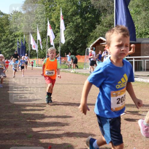08.09.2024 - Airport Race Strokosch-Dieckow http://msf.ph/oto/6999536 08.09.2024 11:13:29 Ziel  meine-sportfotos.de