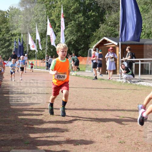 08.09.2024 - Airport Race Strokosch-Dieckow http://msf.ph/oto/6999539 08.09.2024 11:13:29 Ziel  meine-sportfotos.de