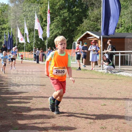 08.09.2024 - Airport Race Strokosch-Dieckow http://msf.ph/oto/6999540 08.09.2024 11:13:30 Ziel  meine-sportfotos.de
