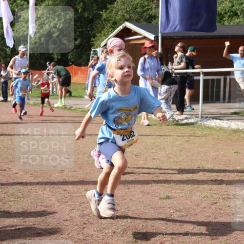 08.09.2024 - Airport Race Strokosch-Dieckow http://msf.ph/oto/6999544 08.09.2024 11:13:33 Ziel  meine-sportfotos.de