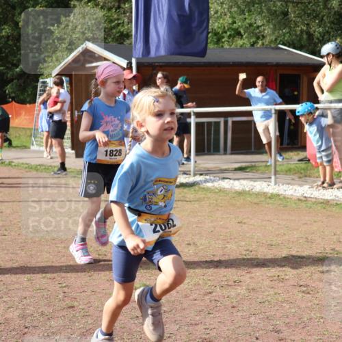 08.09.2024 - Airport Race Strokosch-Dieckow http://msf.ph/oto/6999545 08.09.2024 11:13:33 Ziel  meine-sportfotos.de