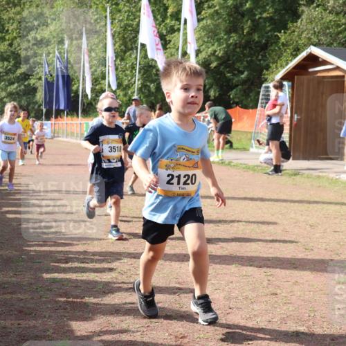 08.09.2024 - Airport Race Strokosch-Dieckow http://msf.ph/oto/6999570 08.09.2024 11:13:39 Ziel  meine-sportfotos.de