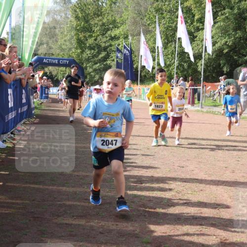 08.09.2024 - Airport Race Strokosch-Dieckow http://msf.ph/oto/6999589 08.09.2024 11:13:42 Ziel  meine-sportfotos.de