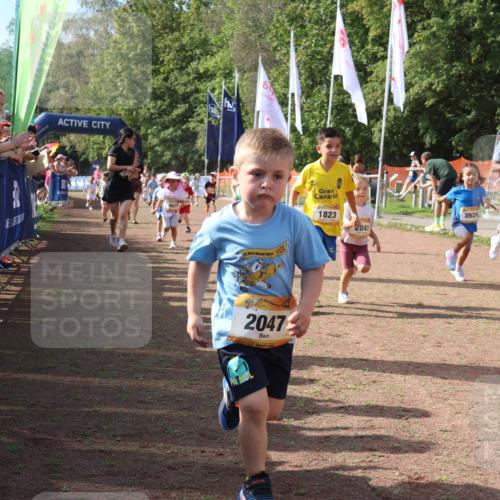 08.09.2024 - Airport Race Strokosch-Dieckow http://msf.ph/oto/6999590 08.09.2024 11:13:43 Ziel  meine-sportfotos.de